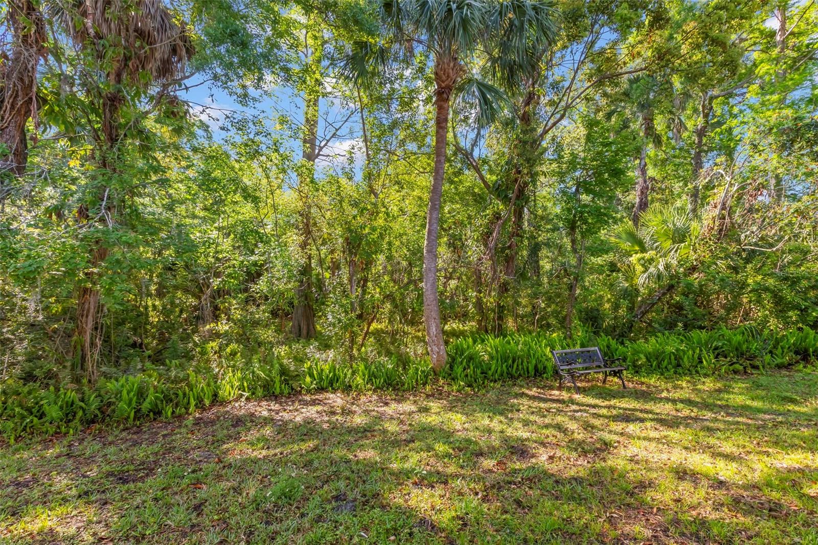 1200 TARPON WOODS BLVD #S3, PALM HARBOR, FL, 34685