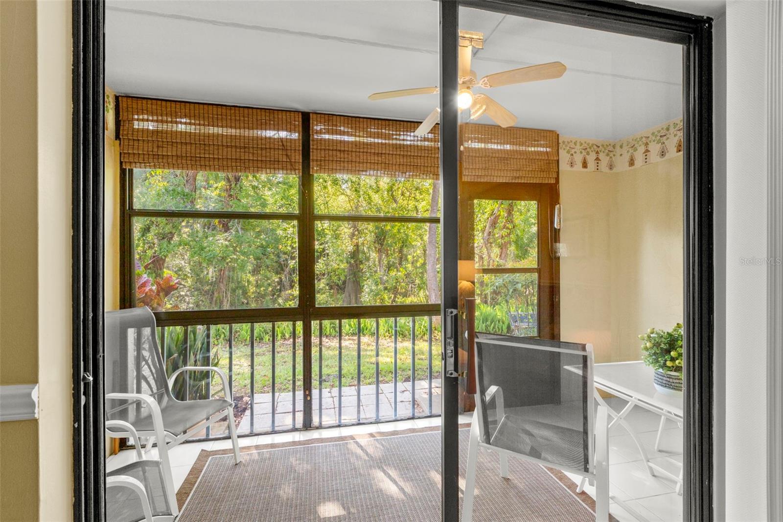 1200 TARPON WOODS BLVD #S3, PALM HARBOR, FL, 34685
