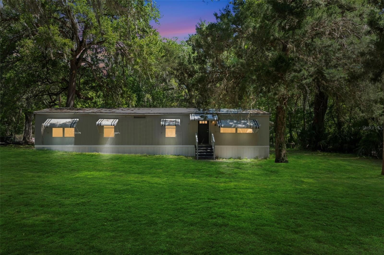 3547 CR 405, LAKE PANASOFFKEE, FL, 33538