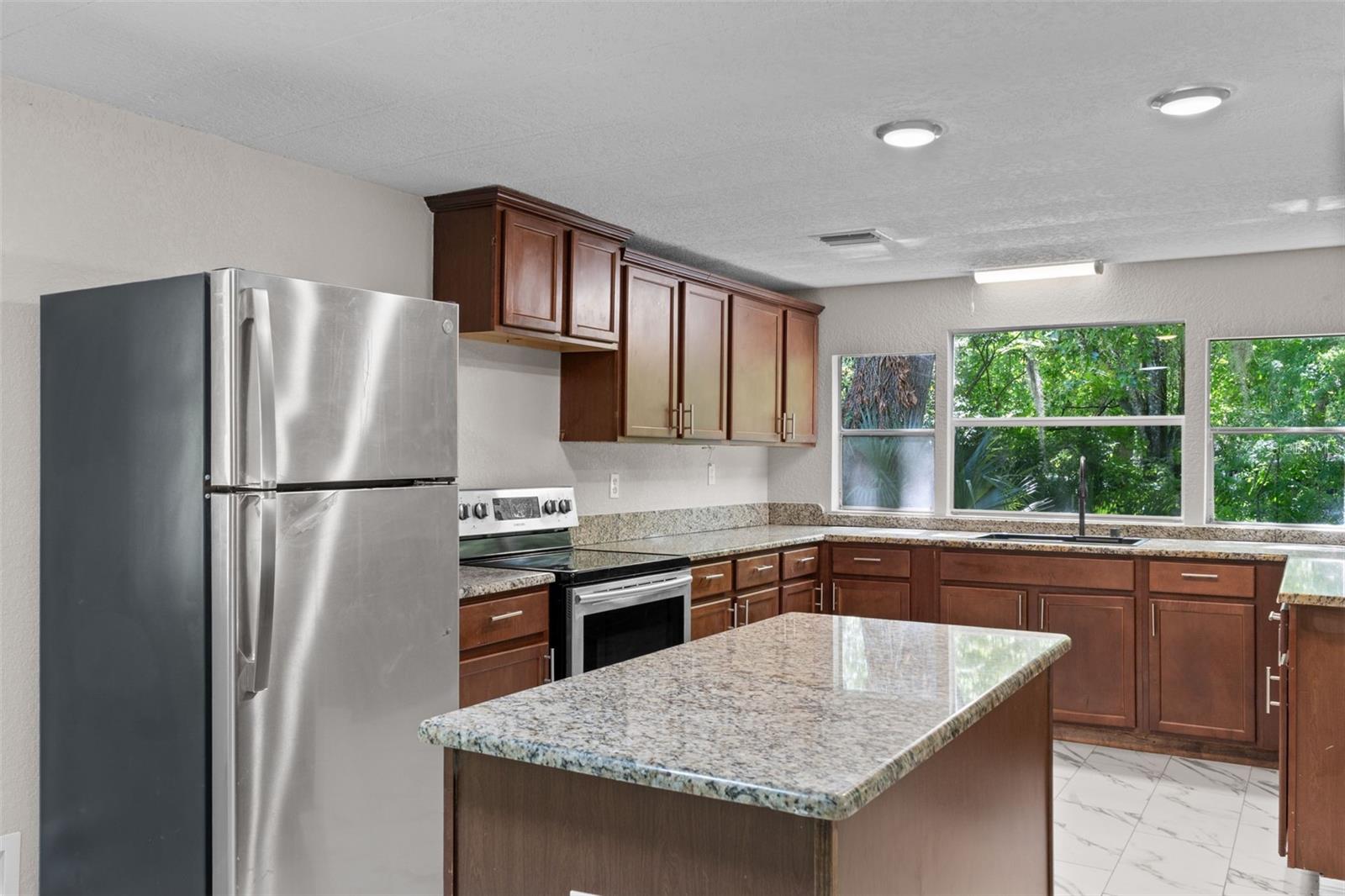 3547 CR 405, LAKE PANASOFFKEE, FL, 33538