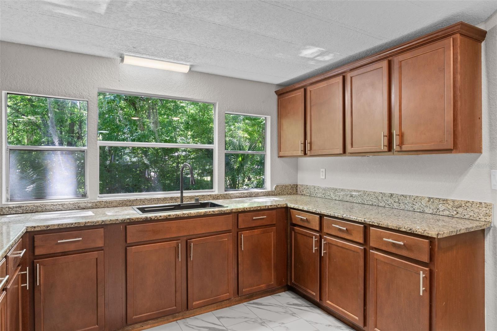 3547 CR 405, LAKE PANASOFFKEE, FL, 33538