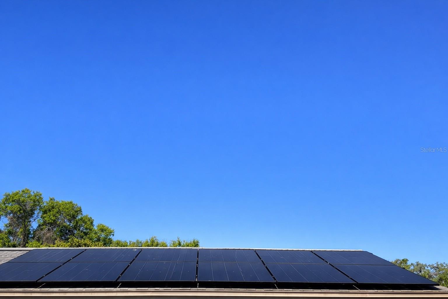 4600 BOWL ST, NEW PORT RICHEY, FL, 34652