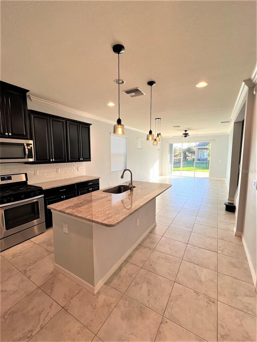 14321 AZALEA POND CT, LITHIA, FL, 33547