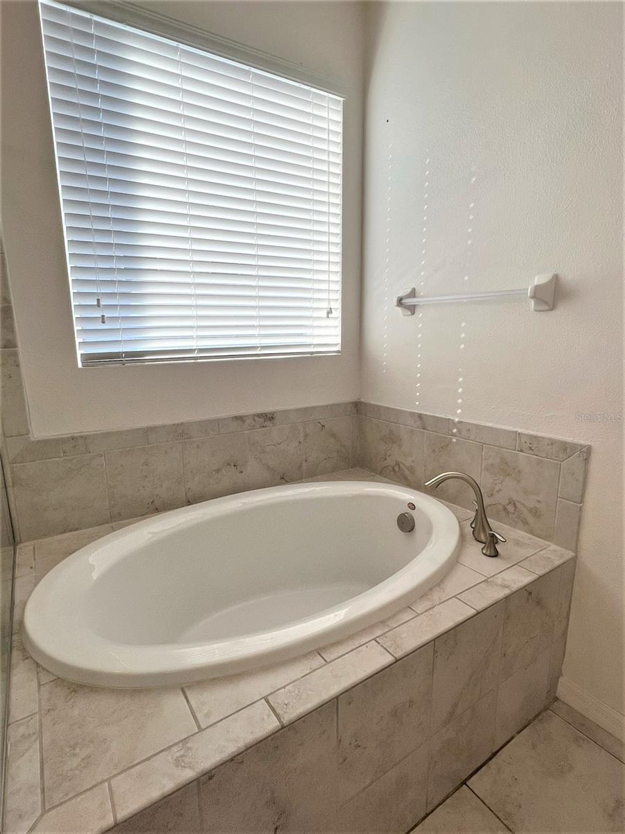 14321 AZALEA POND CT, LITHIA, FL, 33547