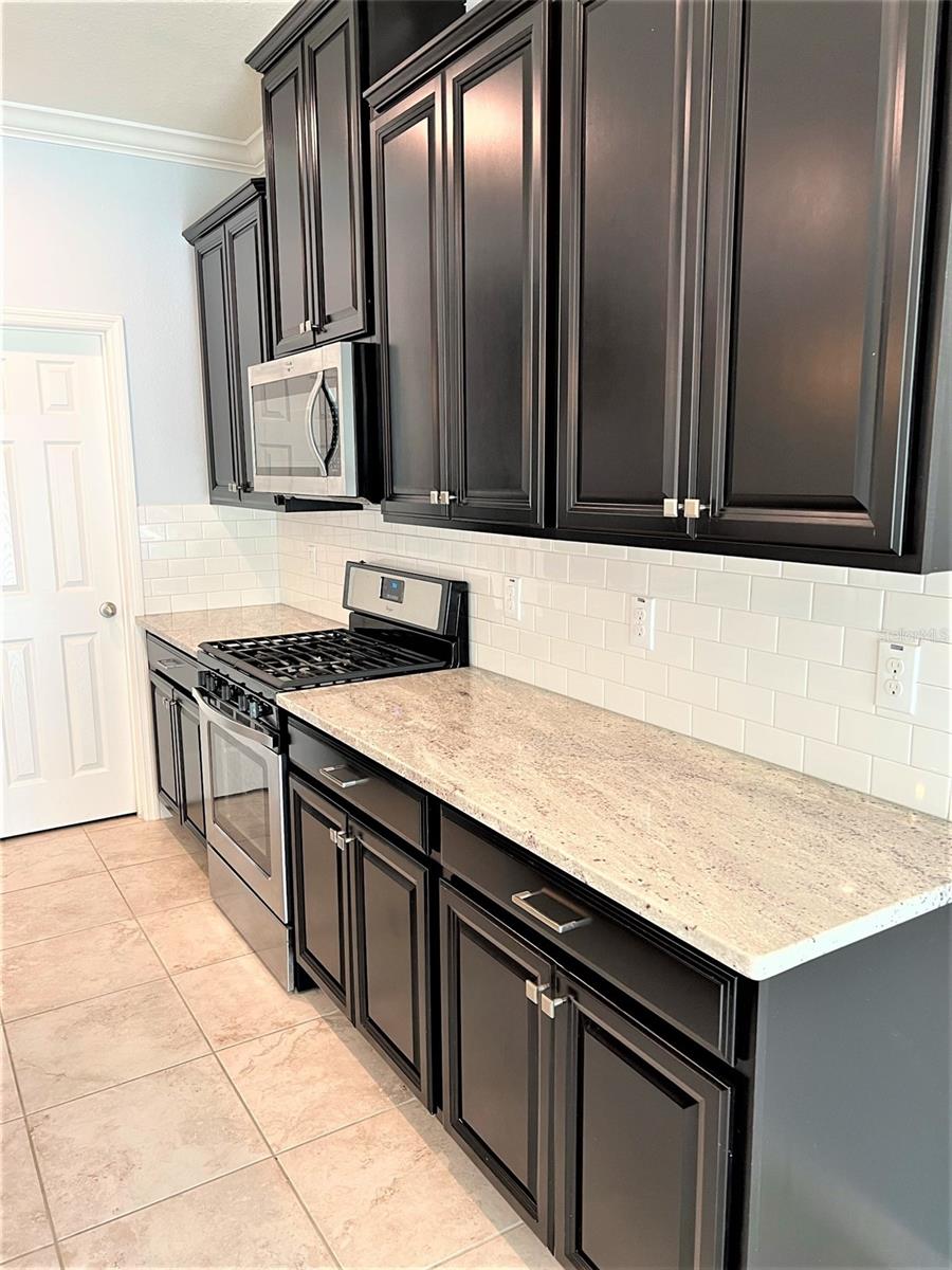 14321 AZALEA POND CT, LITHIA, FL, 33547