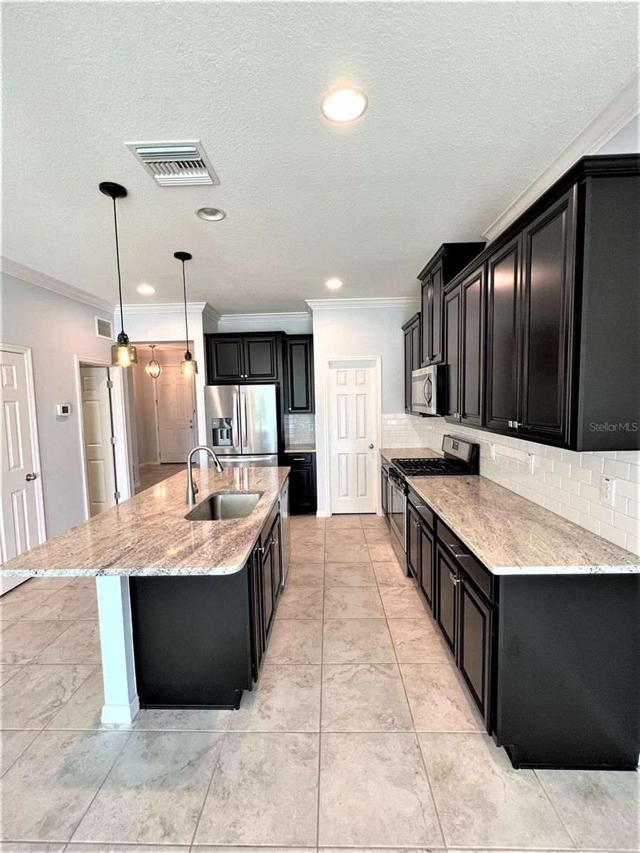 14321 AZALEA POND CT, LITHIA, FL, 33547