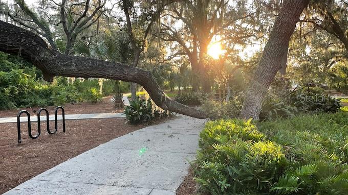 14321 AZALEA POND CT, LITHIA, FL, 33547