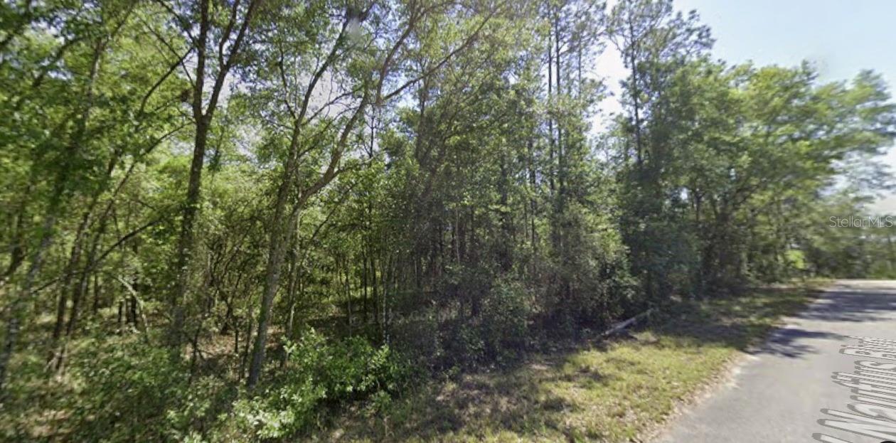 SW NAUTILUS BLVD, DUNNELLON, FL, 34431