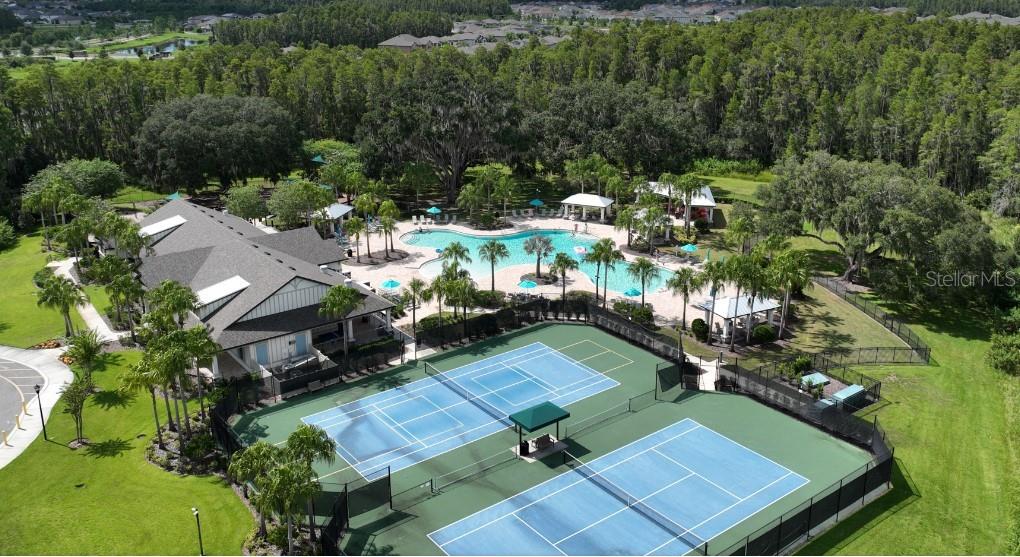 19246 BRIARBROOK DR, TAMPA, FL, 33647