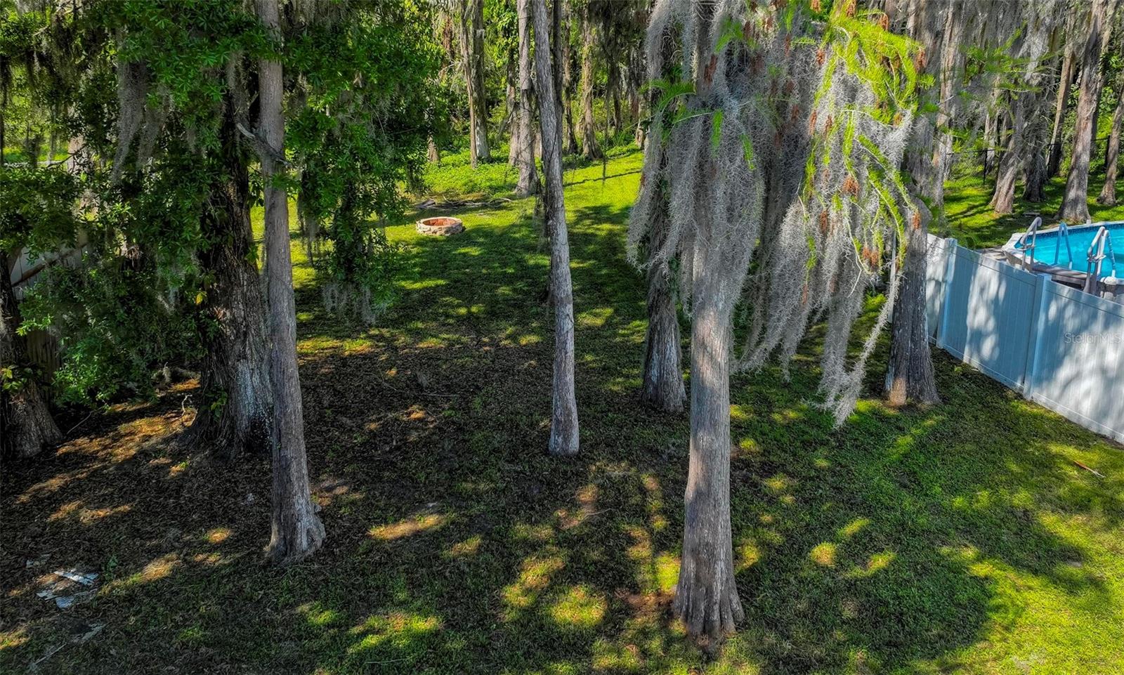 Backyard View