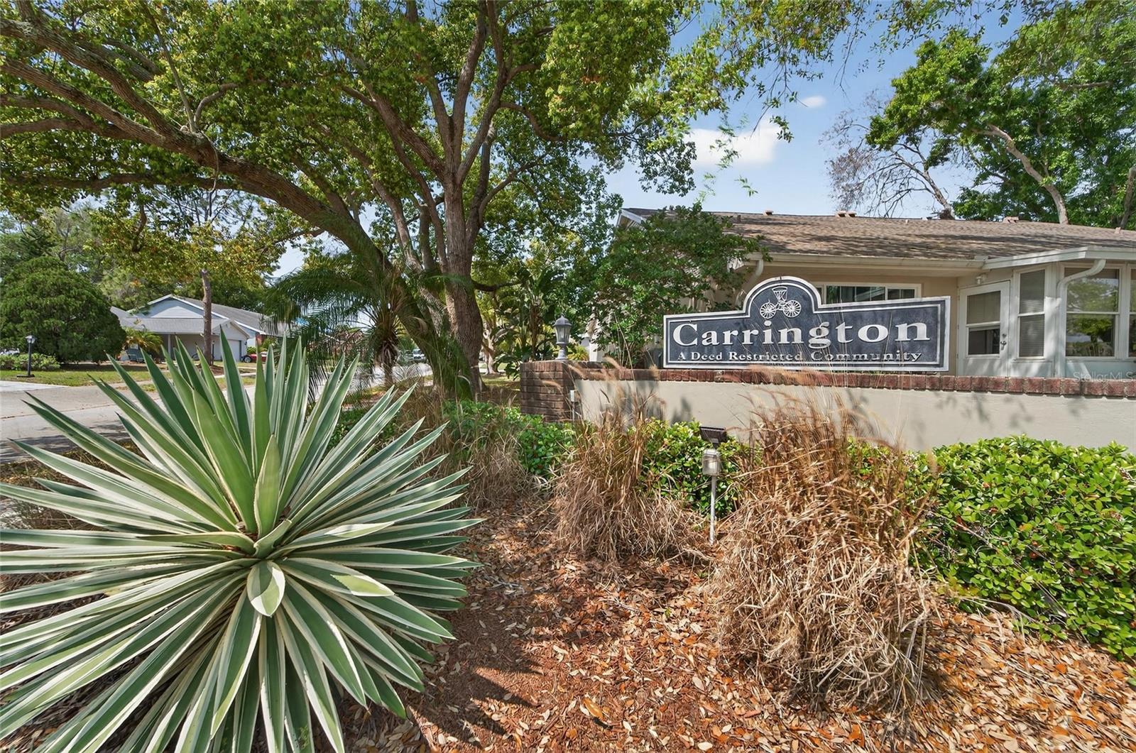 2854 WHITEHALL DR, PALM HARBOR, FL, 34684