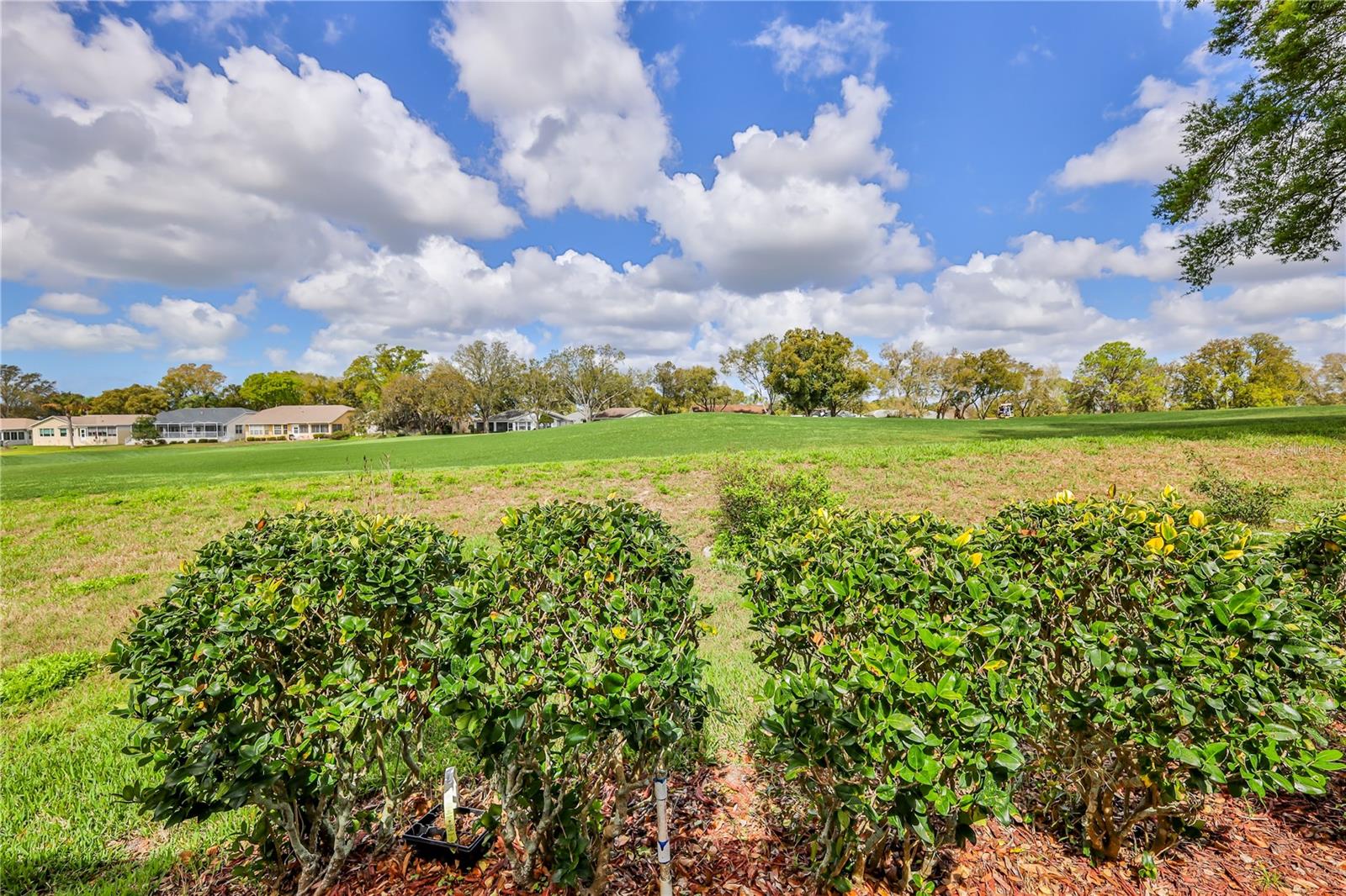 2420 ROLLING VIEW DR, SPRING HILL, FL, 34606