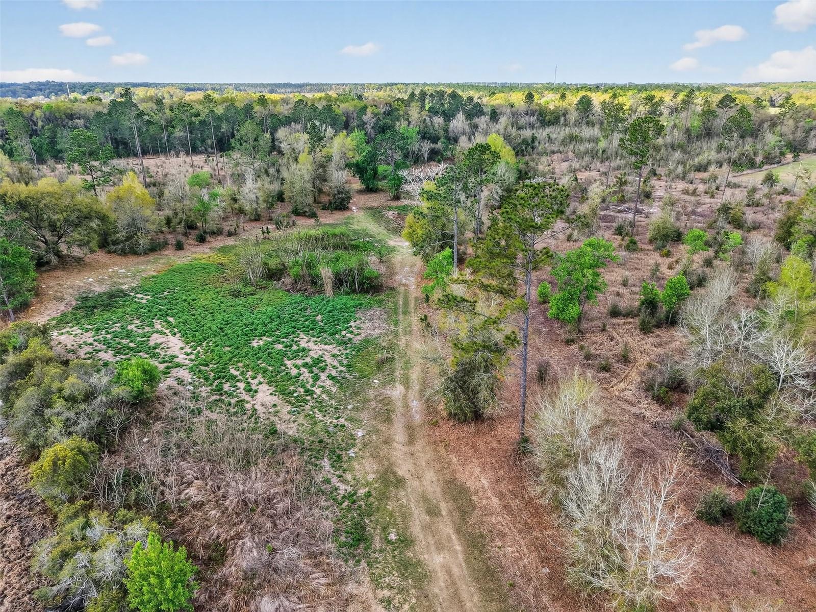 ISLAND POND LN, EUSTIS, FL, 32736