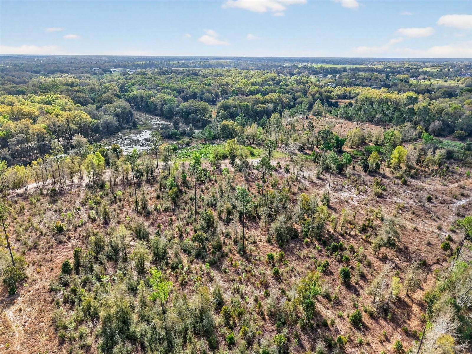 ISLAND POND LN, EUSTIS, FL, 32736