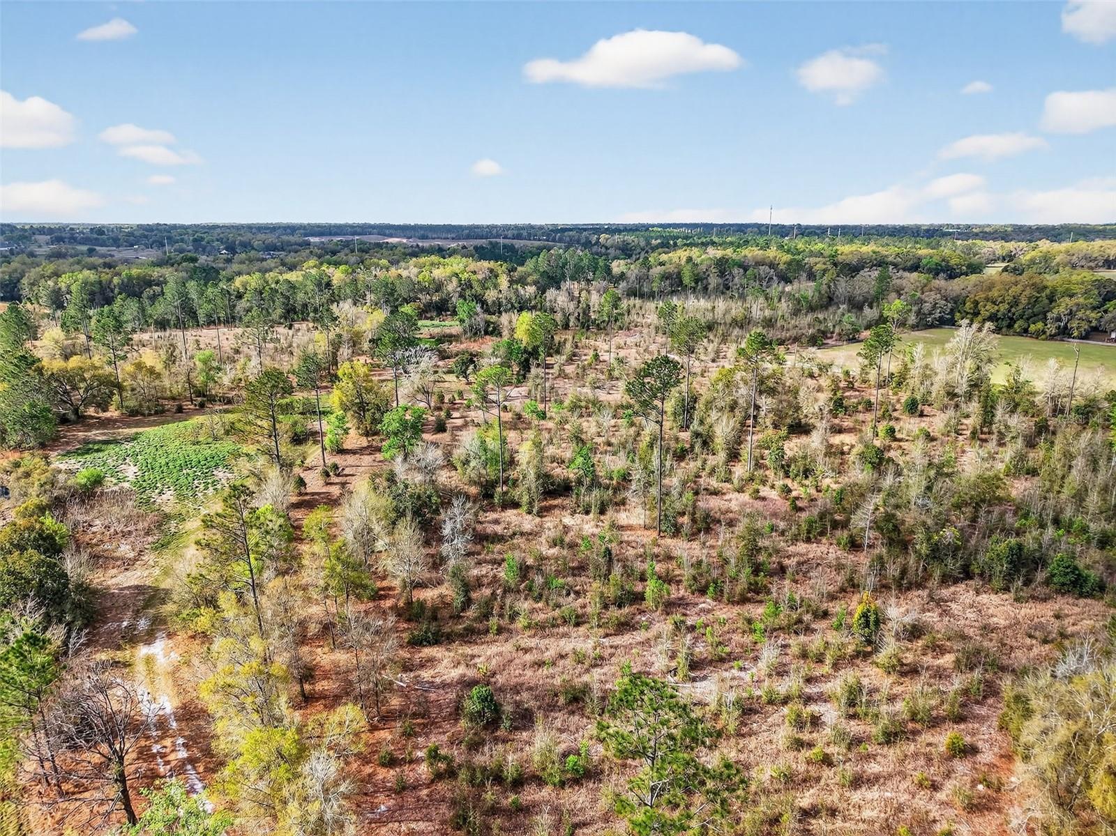 ISLAND POND LN, EUSTIS, FL, 32736