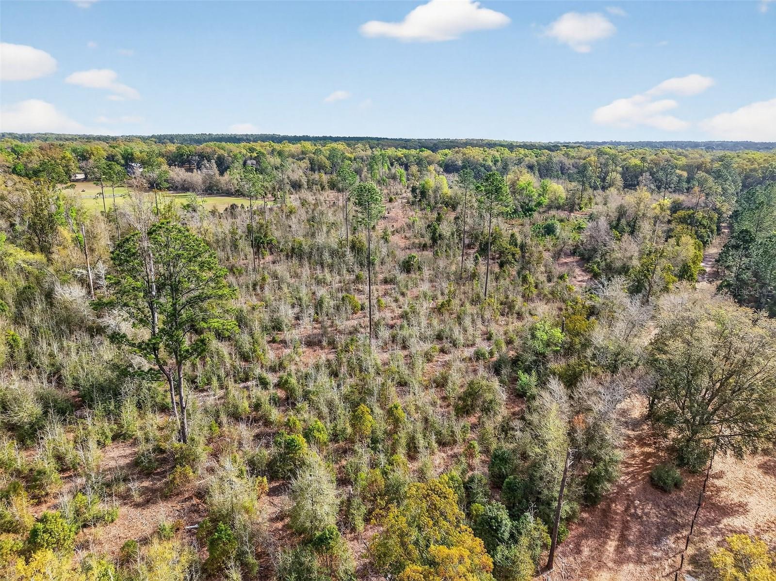 ISLAND POND LN, EUSTIS, FL, 32736