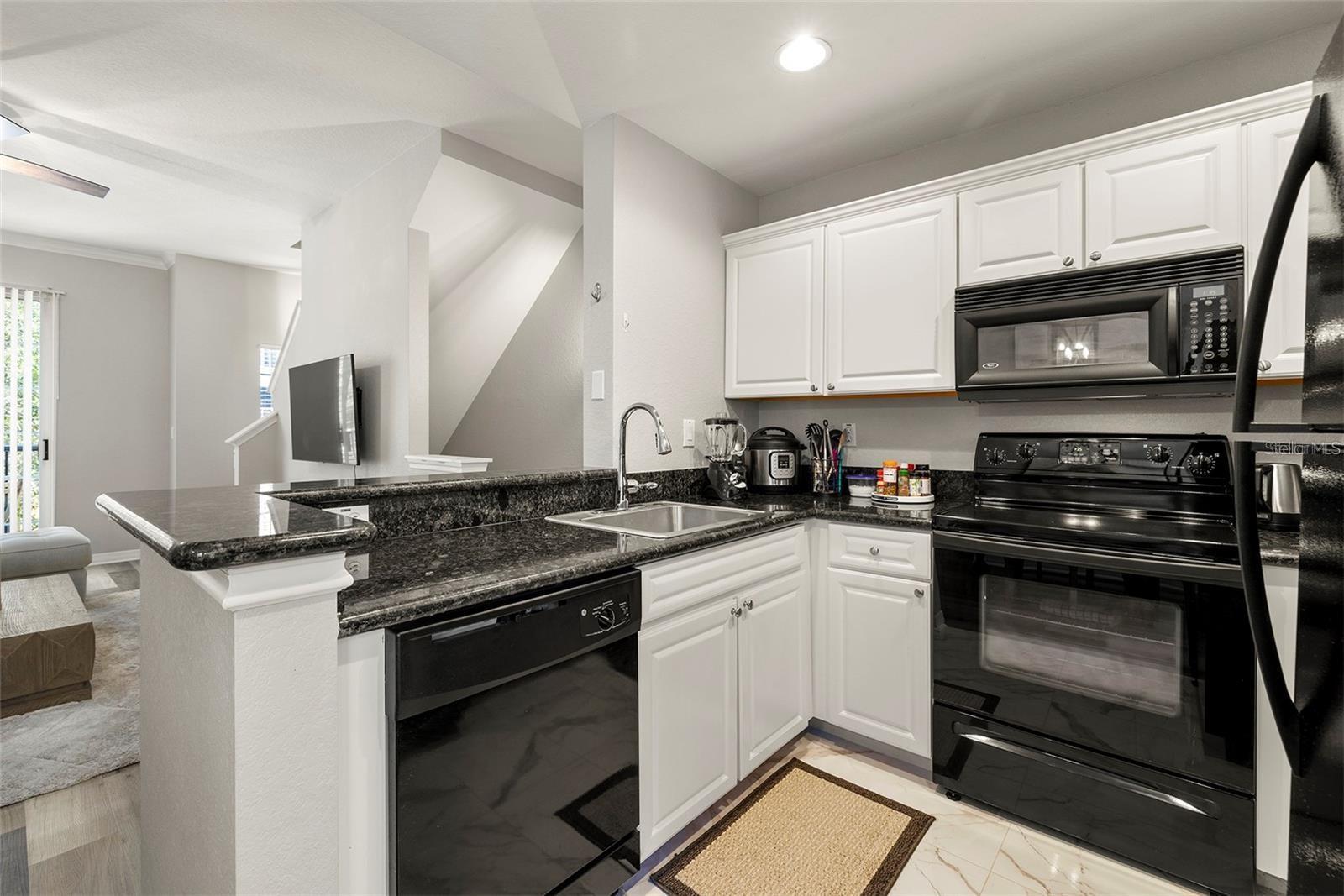 126 BEACH HAVEN LN #126, TAMPA, FL, 33609