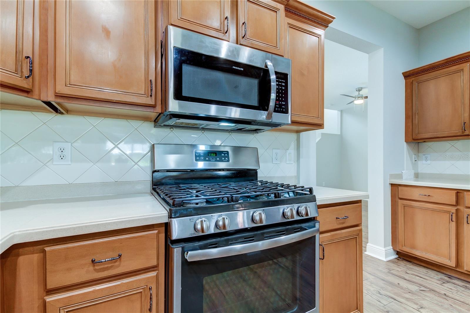 14606 BOURNEMOUTH RD, TAMPA, FL, 33626