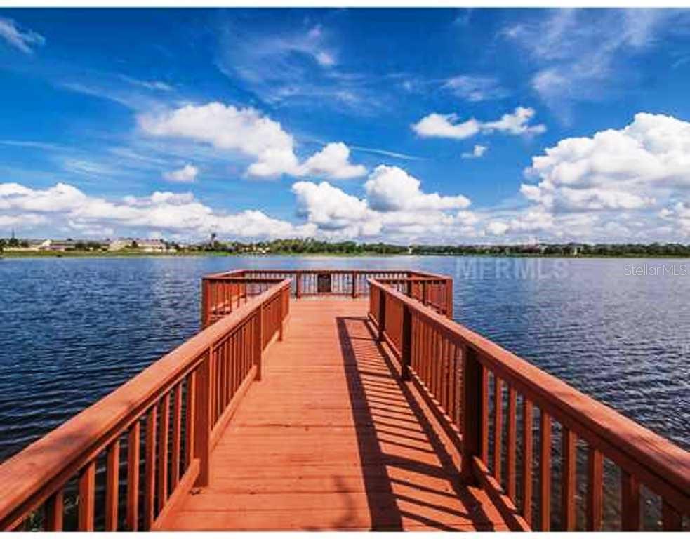 14606 BOURNEMOUTH RD, TAMPA, FL, 33626