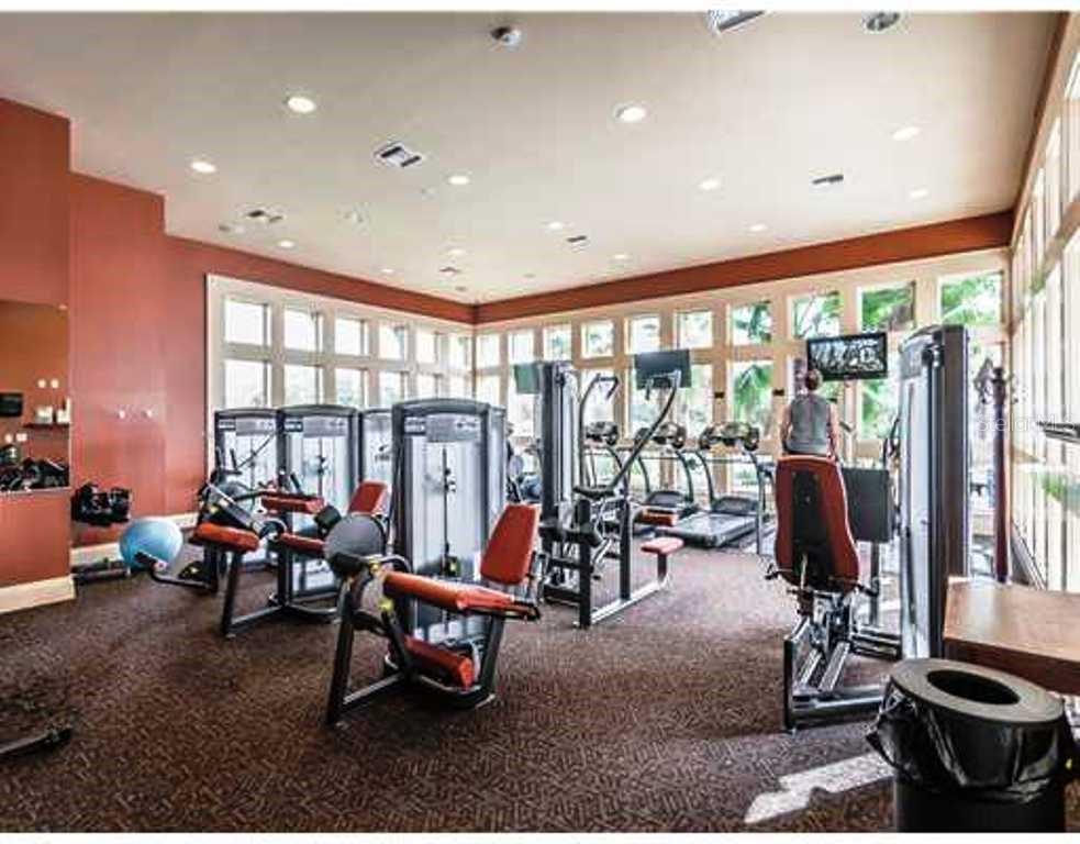 14606 BOURNEMOUTH RD, TAMPA, FL, 33626