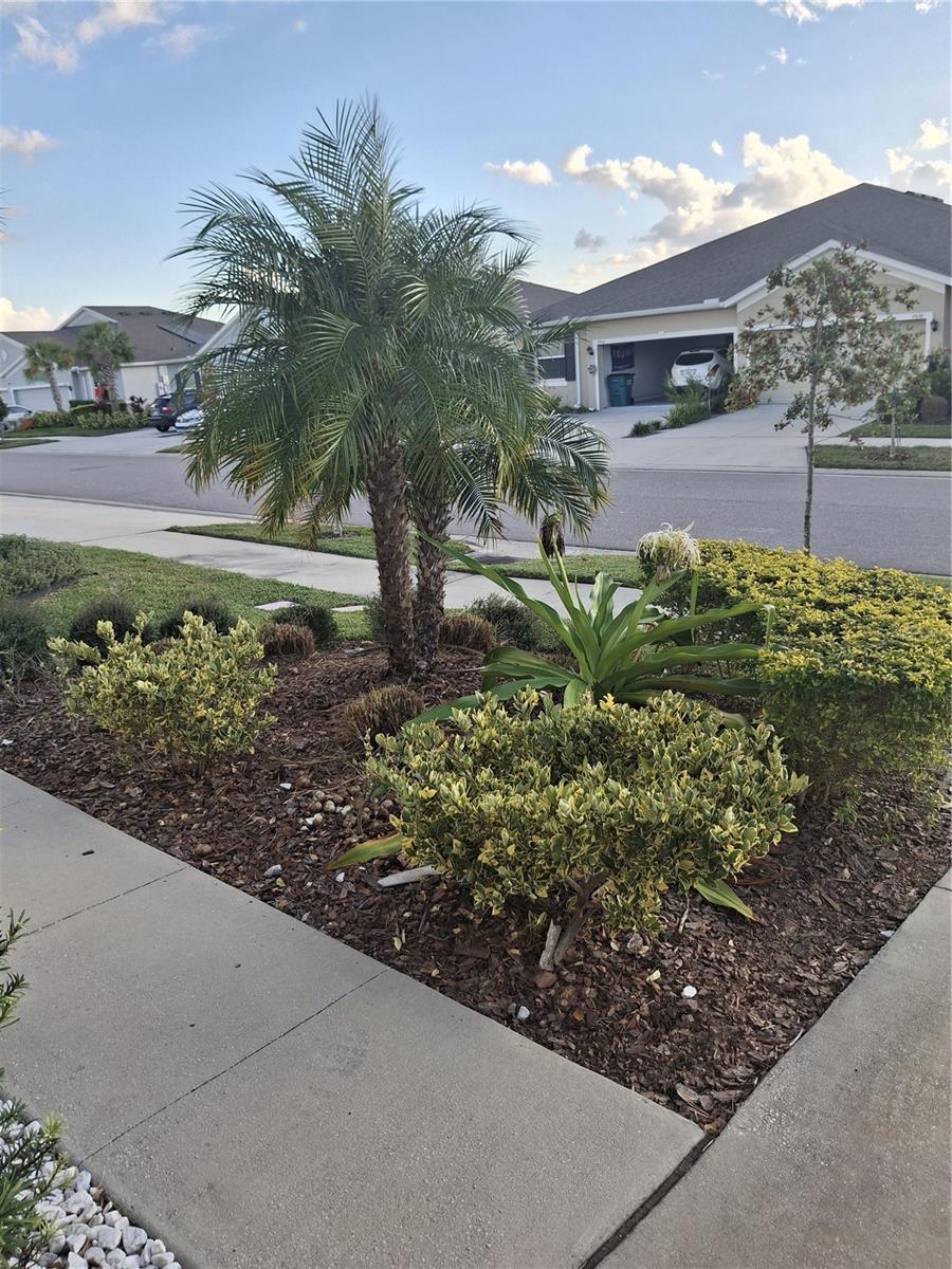 7891 STONEBROOK CIR, WESLEY CHAPEL, FL, 33545