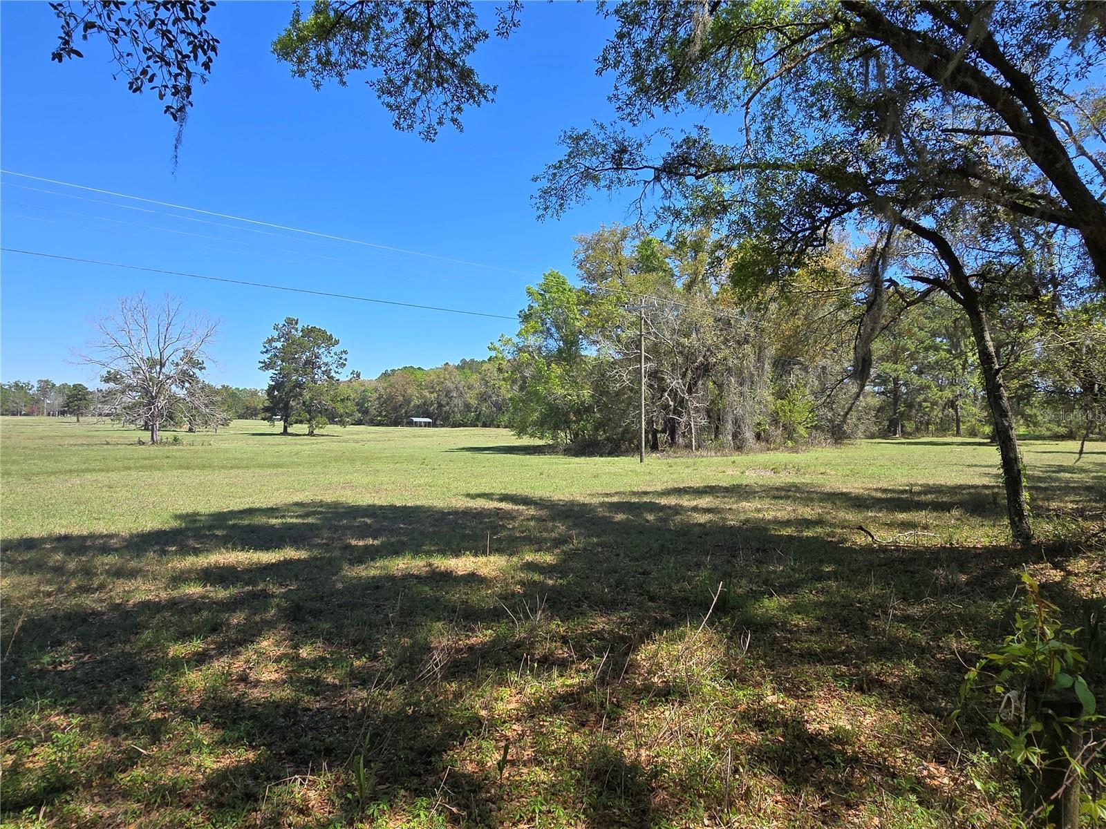 TDB (LOT 1) 55TH PL, MC ALPIN, FL, 32062