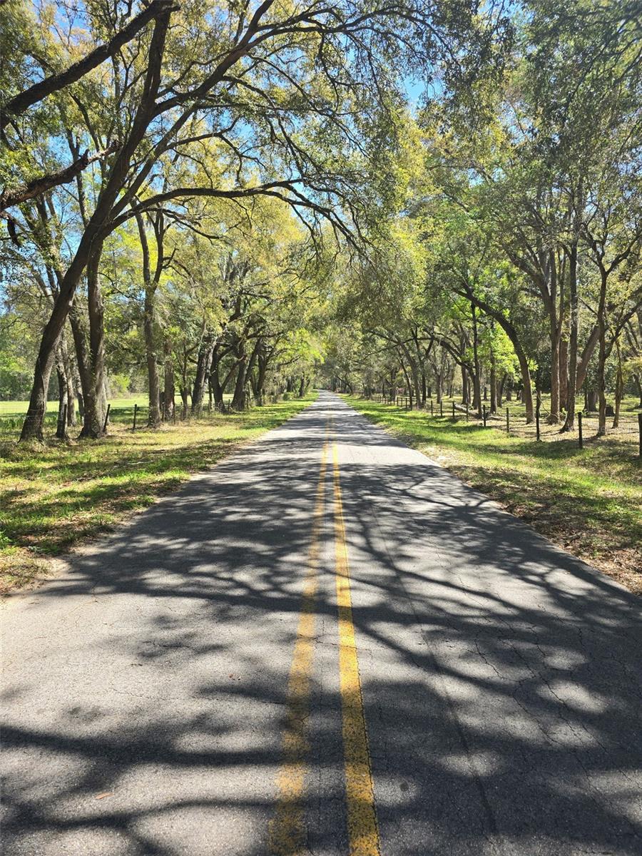 TDB (LOT 1) 55TH PL, MC ALPIN, FL, 32062