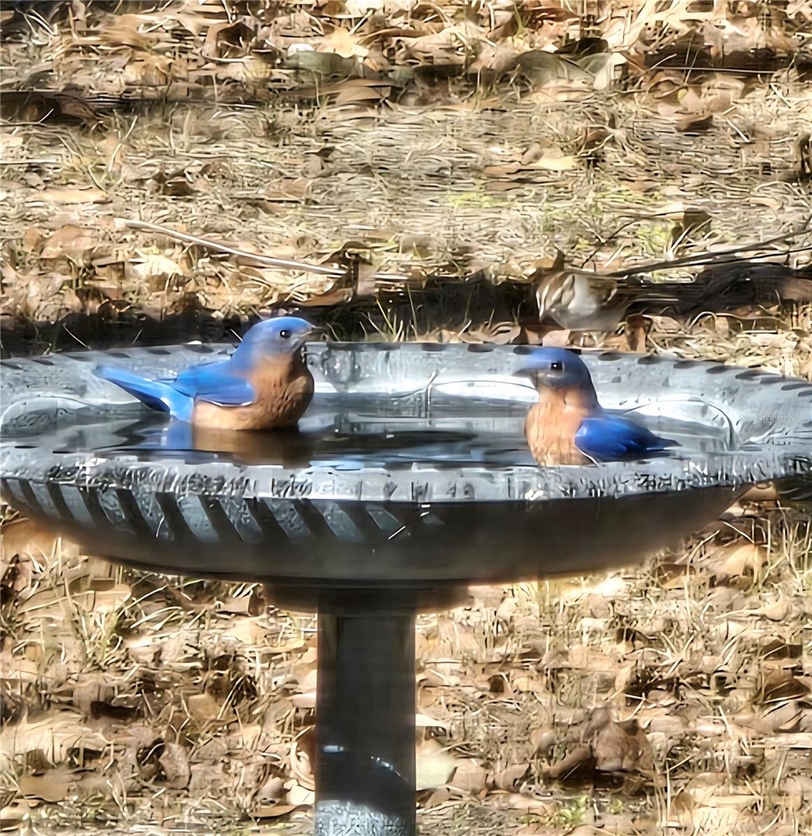 TDB (LOT 1) 55TH PL, MC ALPIN, FL, 32062