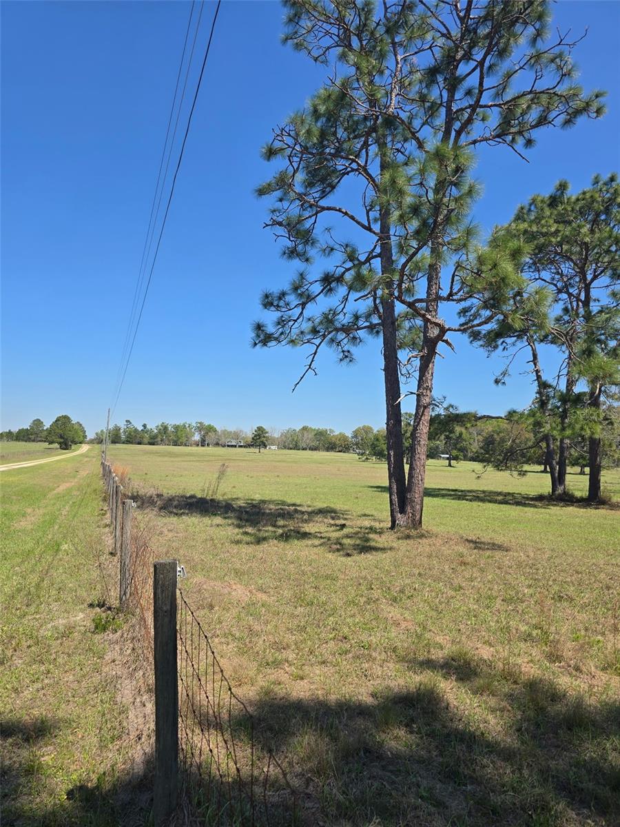 TDB (LOT 1) 55TH PL, MC ALPIN, FL, 32062
