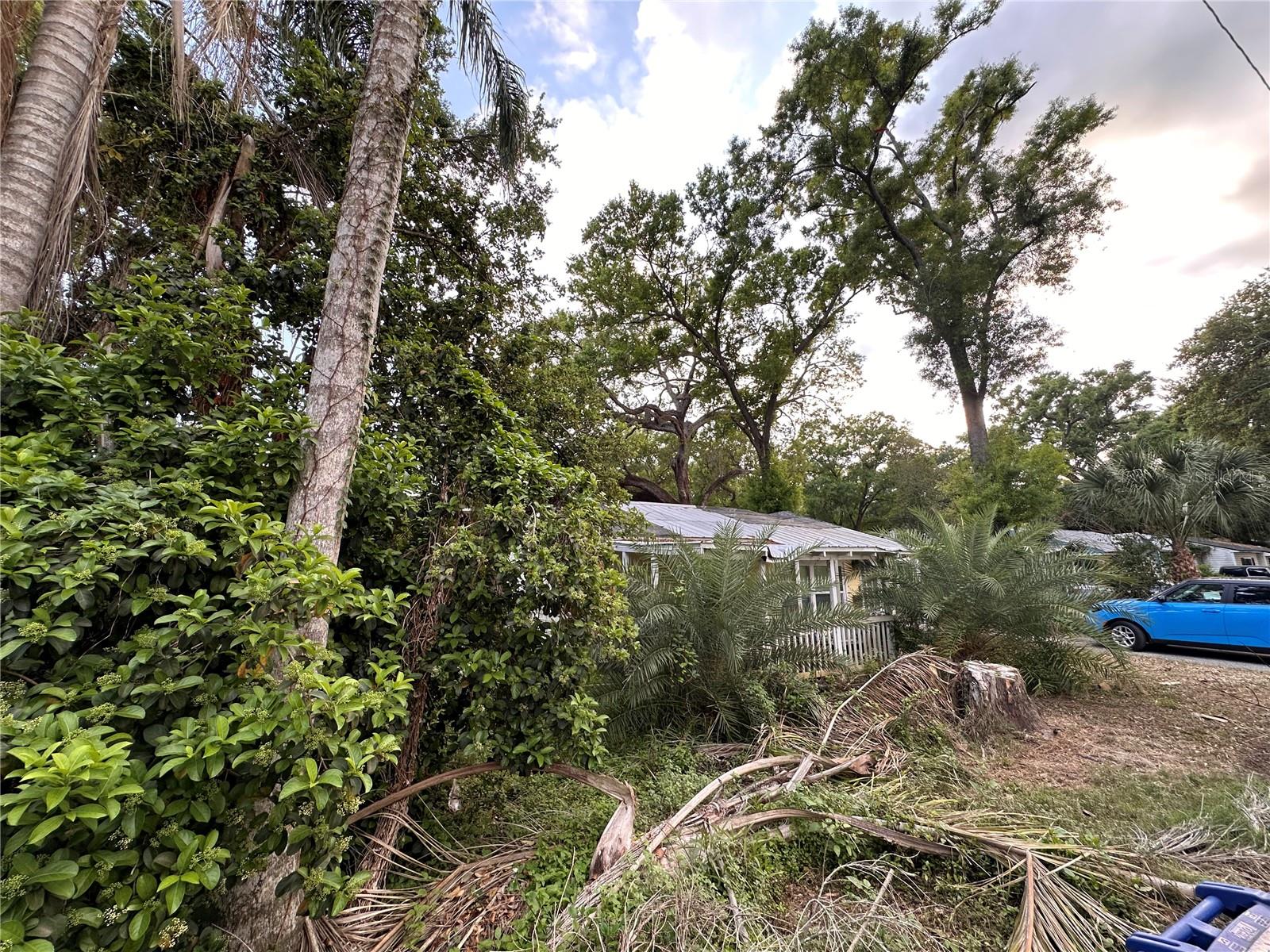 39 HAMILTON HEATH DR, TAMPA, FL, 33604