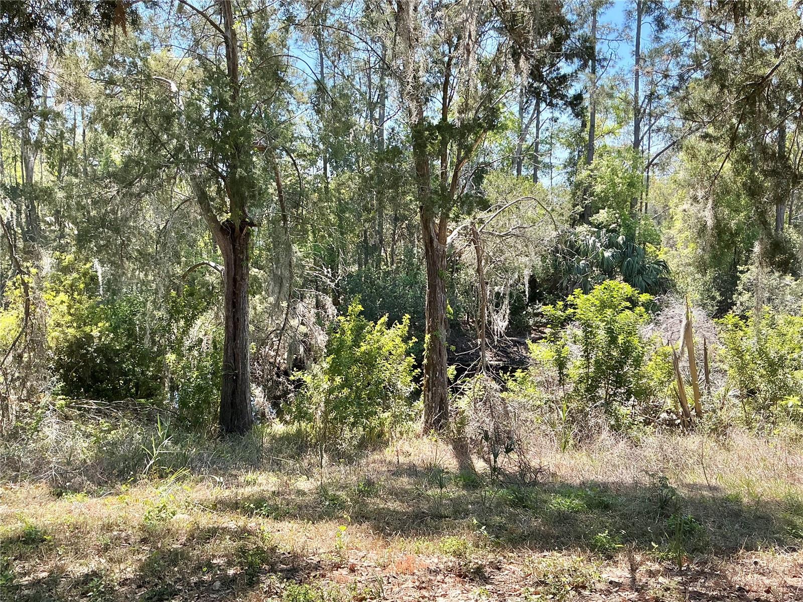 8702 VILLAGE MILL ROW, HUDSON, FL, 34667