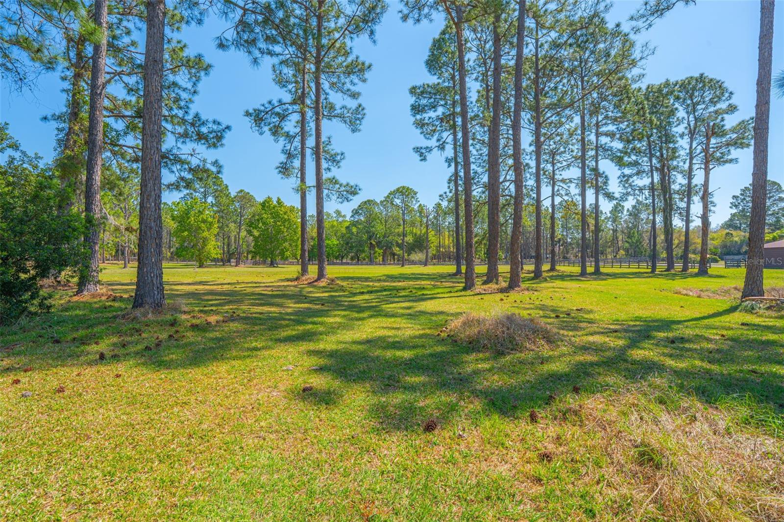100 WILD HORSE RUN, DELTONA, FL, 32738