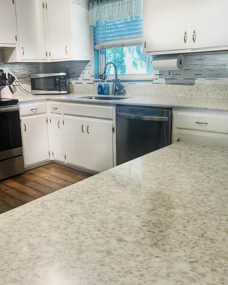6741 SADLER RD, MOUNT DORA, FL, 32757