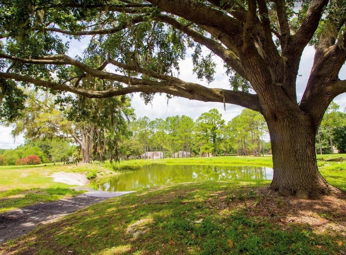 16881 NW 176TH WAY, ALACHUA, FL, 32615