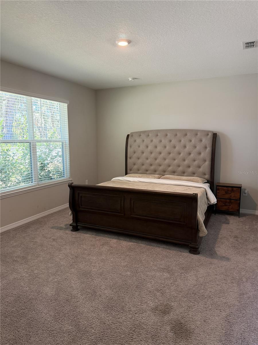 3818 ROSE MALLOW DR, KISSIMMEE, FL, 34746