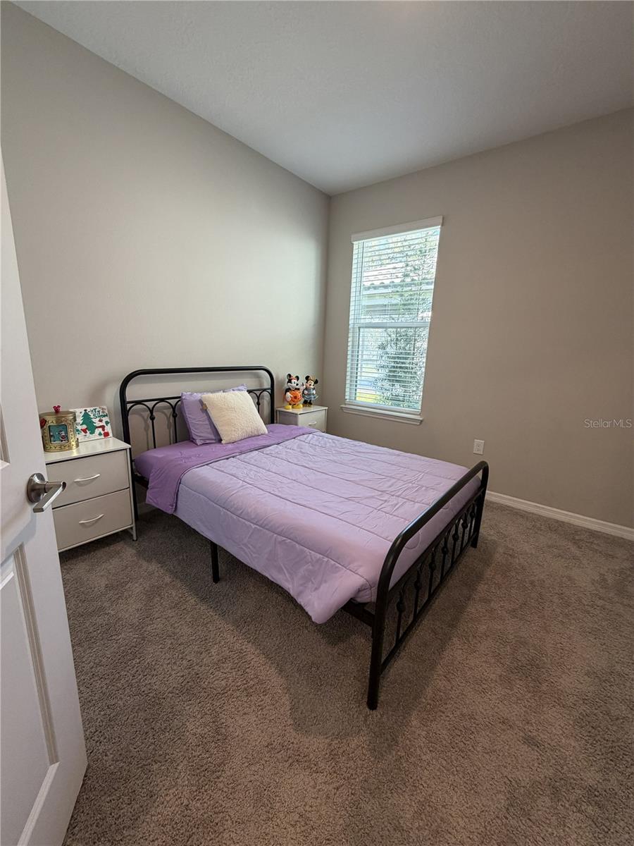 3818 ROSE MALLOW DR, KISSIMMEE, FL, 34746