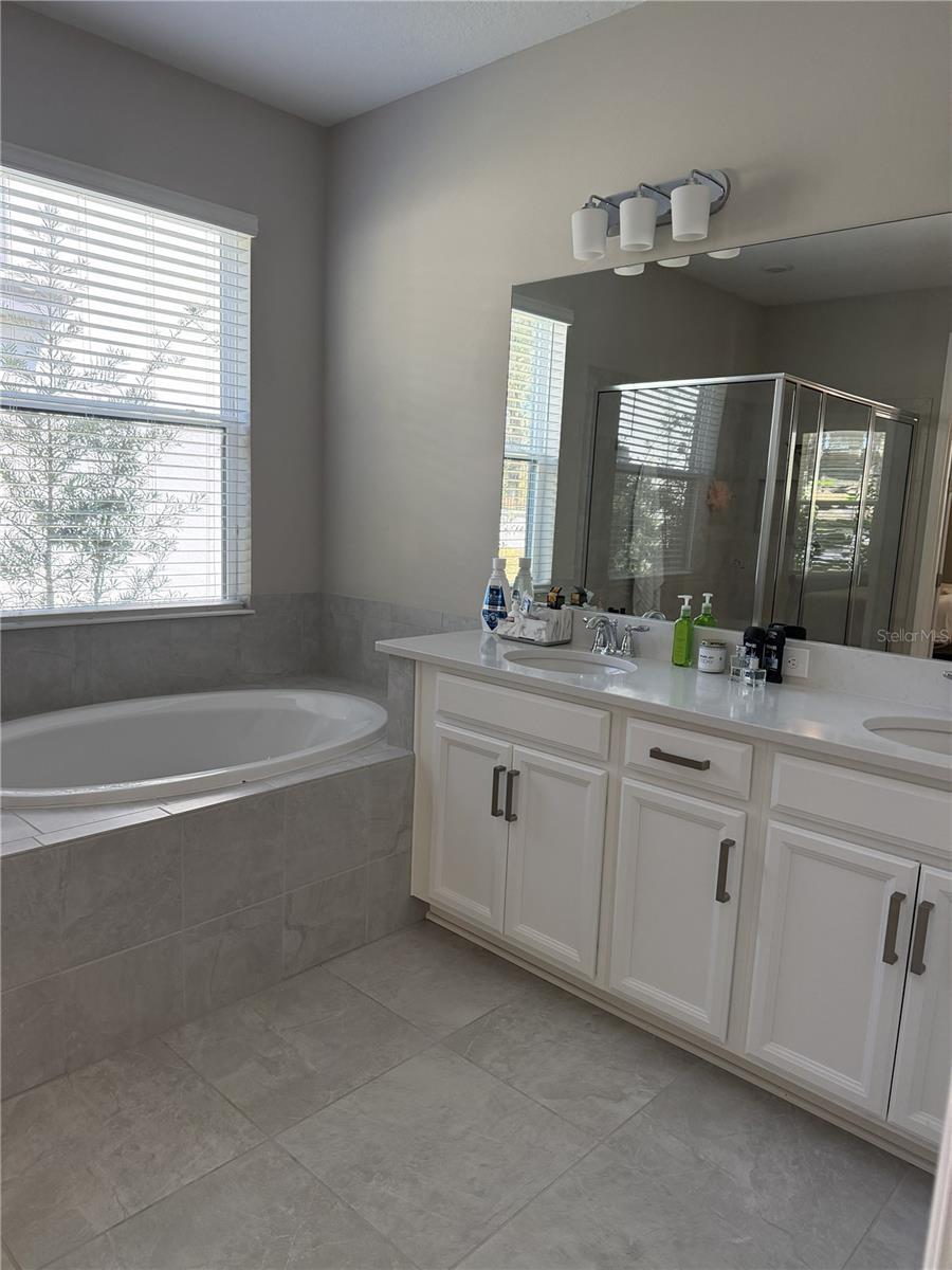 3818 ROSE MALLOW DR, KISSIMMEE, FL, 34746