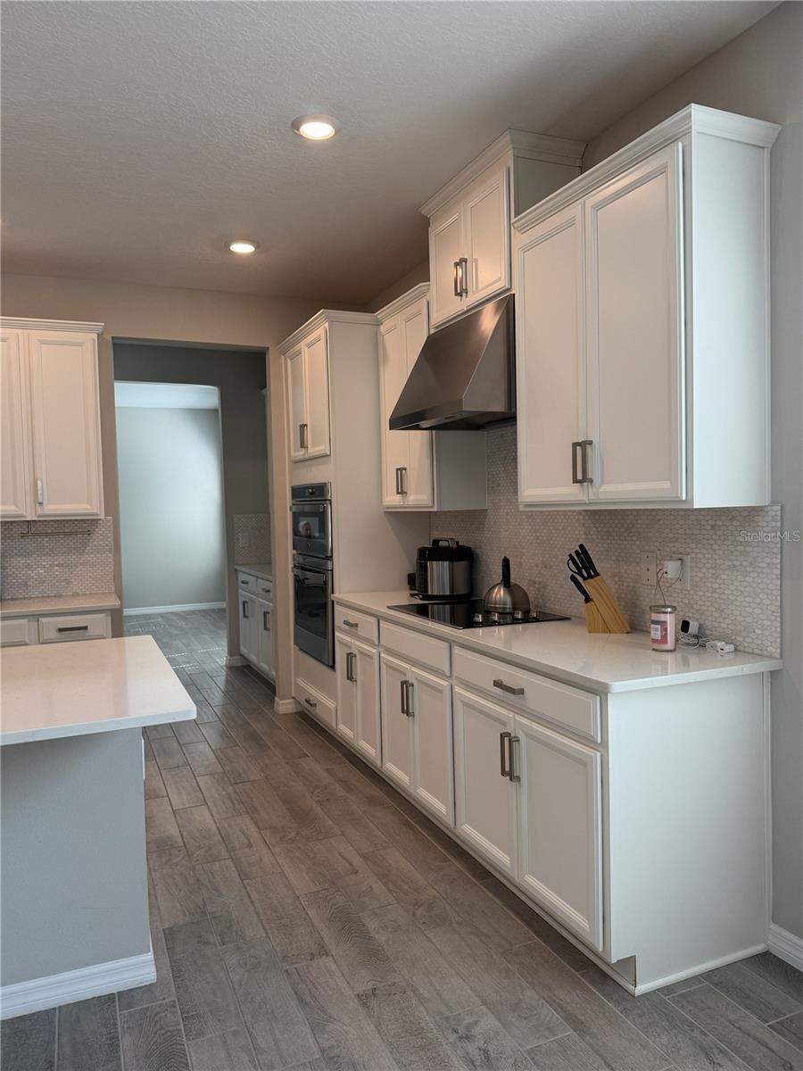 3818 ROSE MALLOW DR, KISSIMMEE, FL, 34746