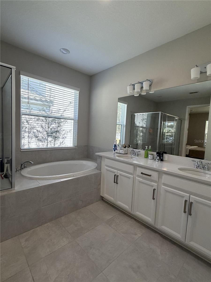 3818 ROSE MALLOW DR, KISSIMMEE, FL, 34746