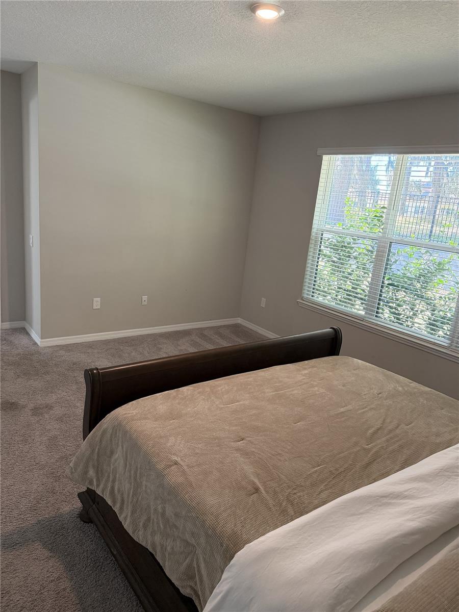 3818 ROSE MALLOW DR, KISSIMMEE, FL, 34746