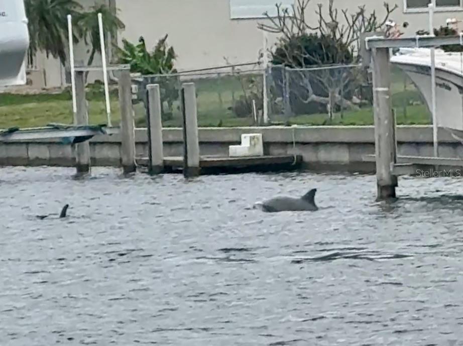 391 VIA ESPLANADE, PUNTA GORDA, FL, 33950