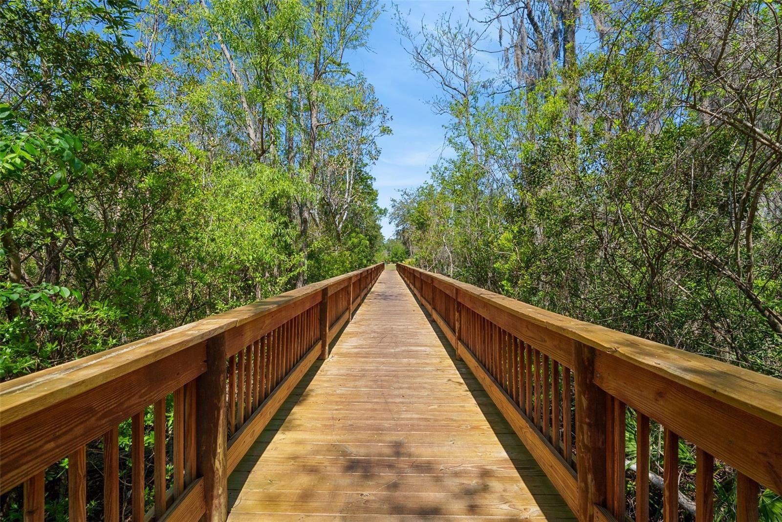192 MODESTO DR, ST AUGUSTINE, FL, 32086