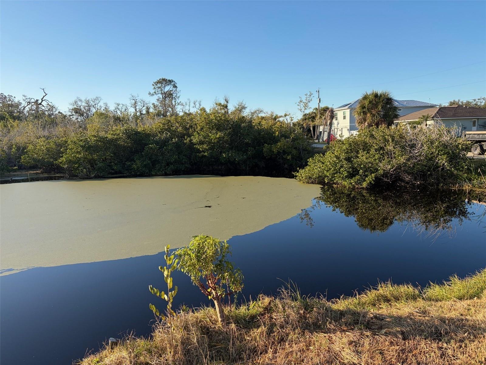 8195 PINE TREE LANE, ENGLEWOOD, FL, 34224