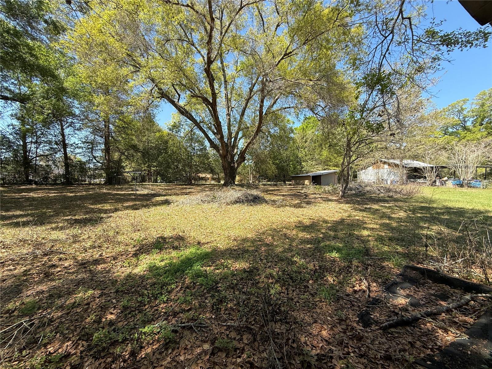 600 NE 53RD CT, OCALA, FL, 34470