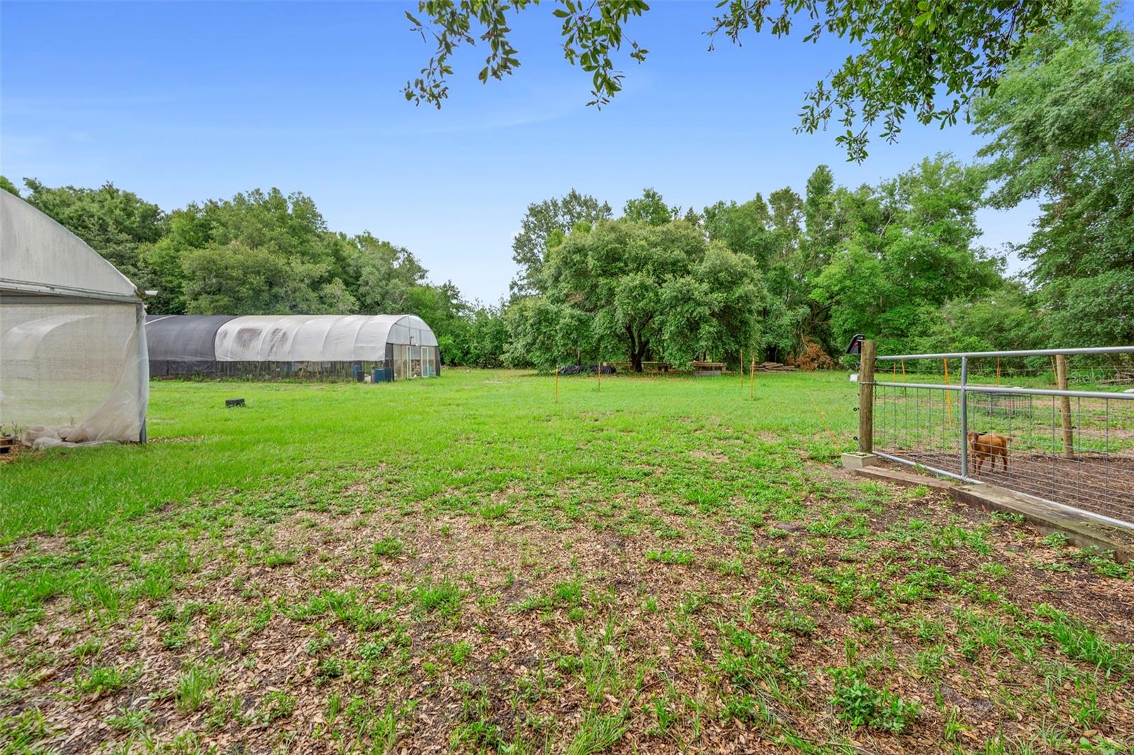 2026 LEWIS RD, LEESBURG, FL, 34748