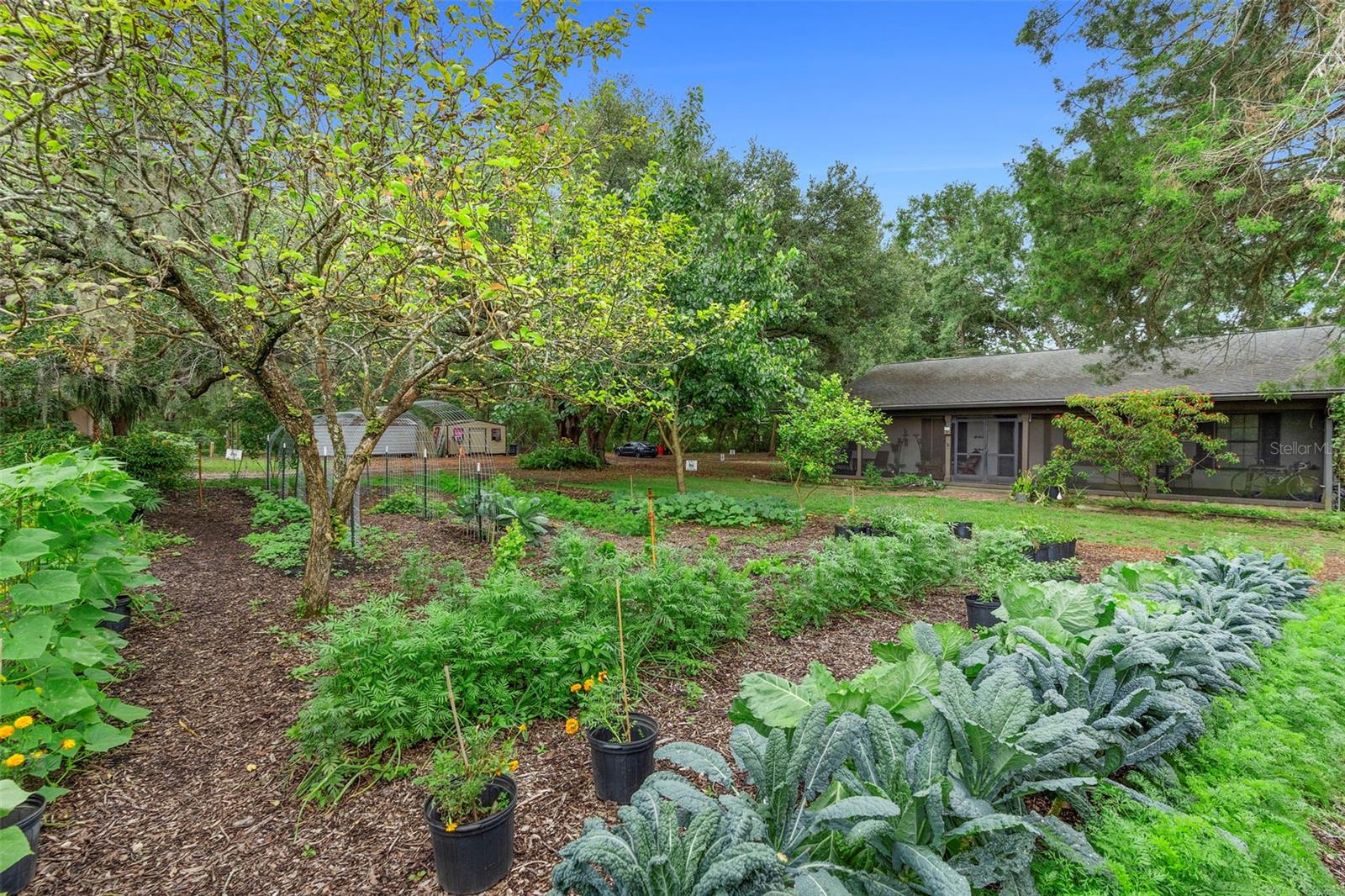 2026 LEWIS RD, LEESBURG, FL, 34748