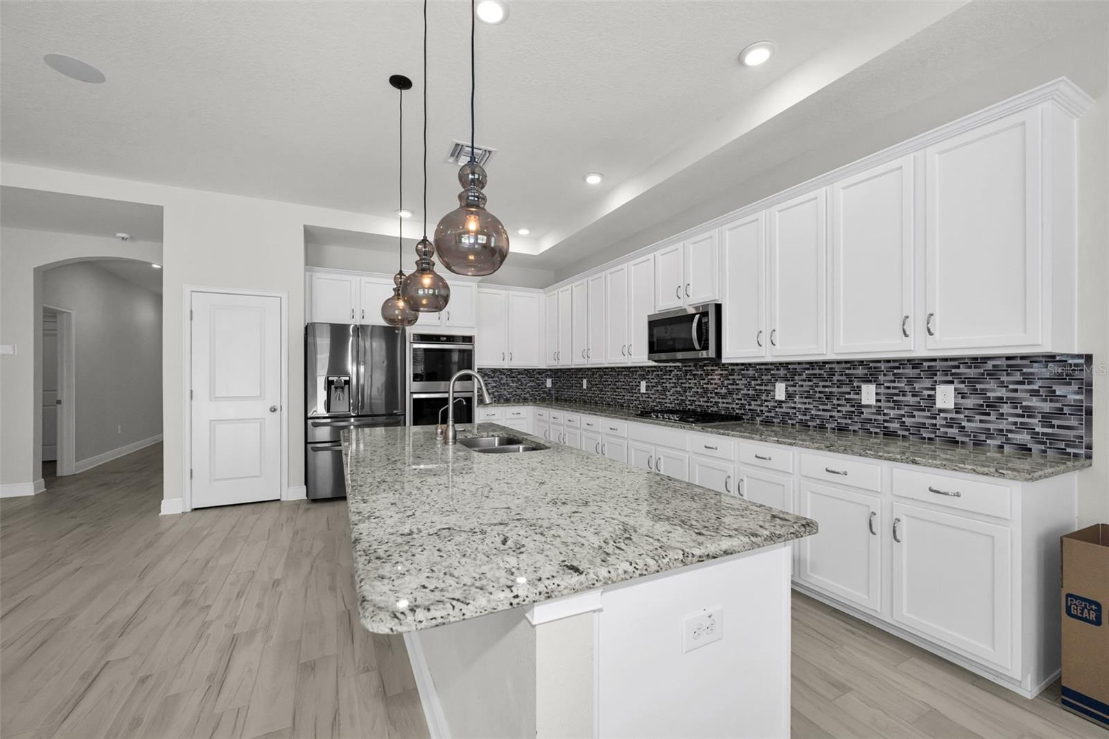 21654 BILLOWY JAUNT DR, LAND O LAKES, FL, 34637