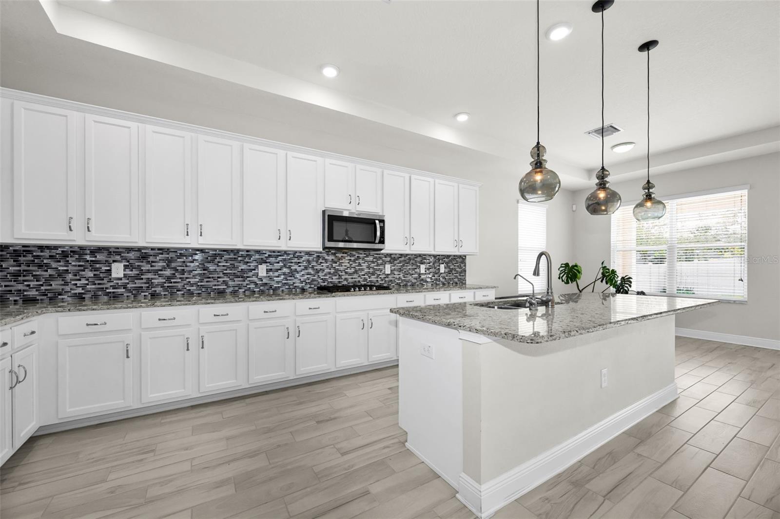 21654 BILLOWY JAUNT DR, LAND O LAKES, FL, 34637