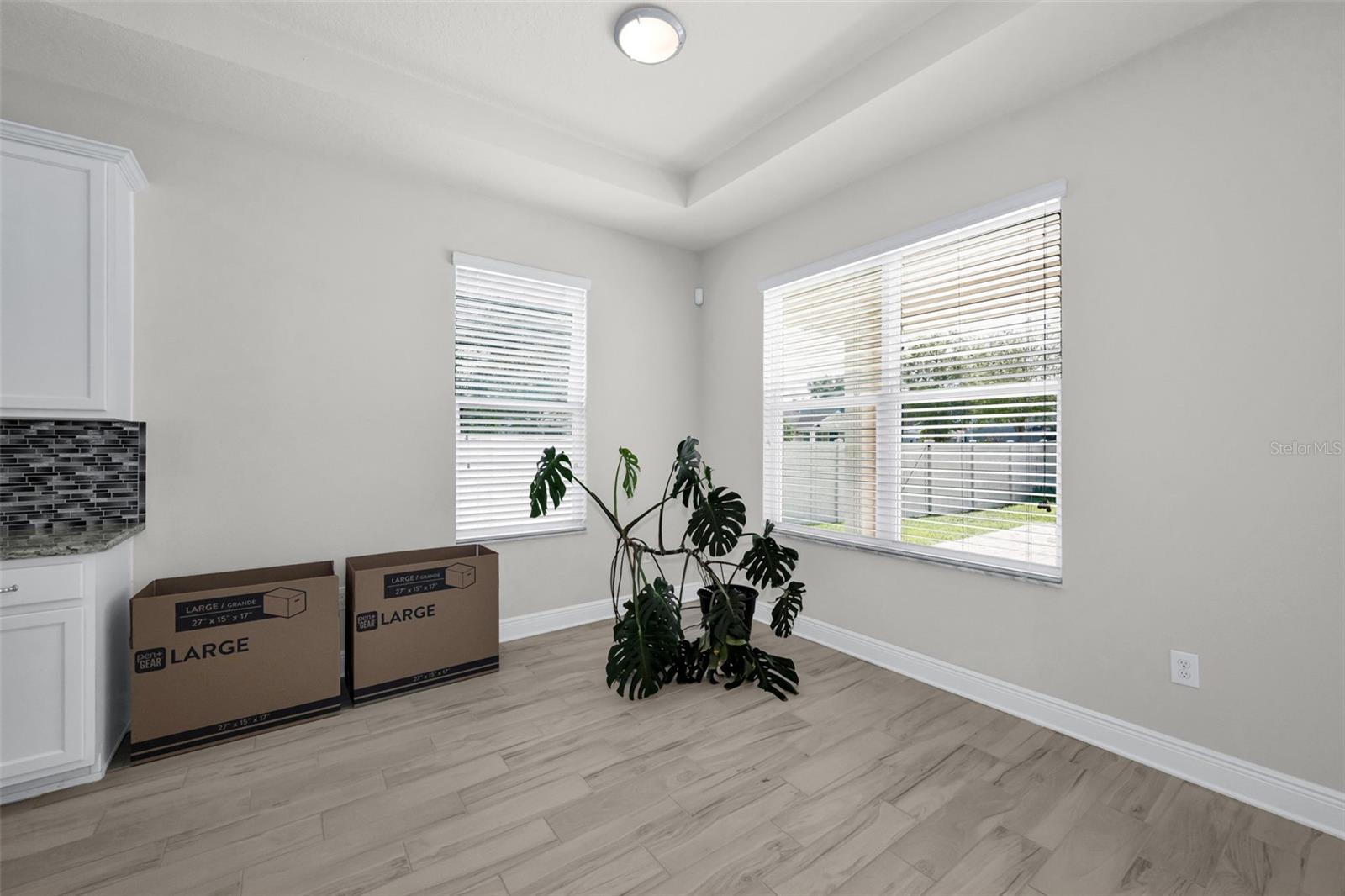 21654 BILLOWY JAUNT DR, LAND O LAKES, FL, 34637