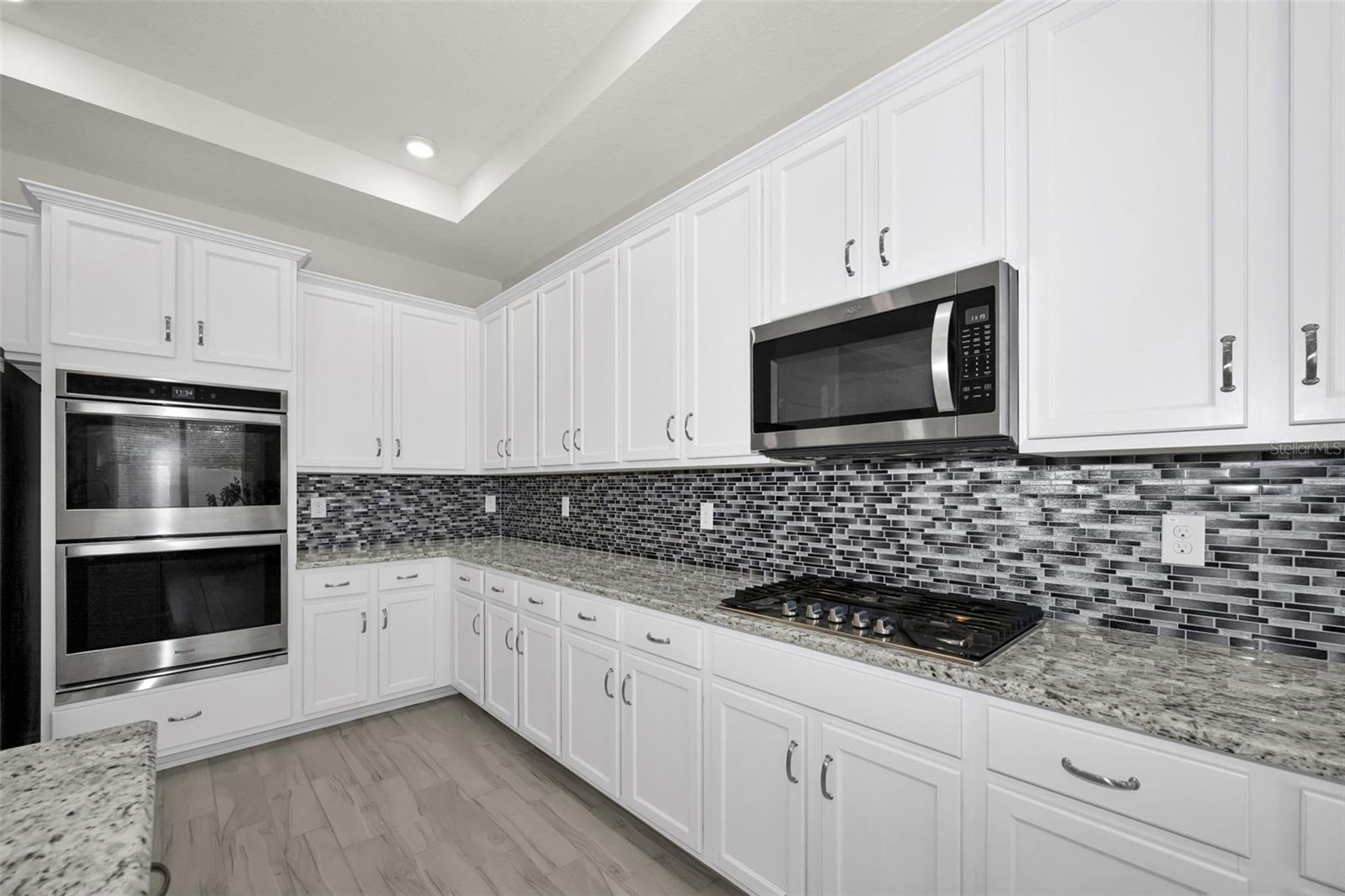 21654 BILLOWY JAUNT DR, LAND O LAKES, FL, 34637